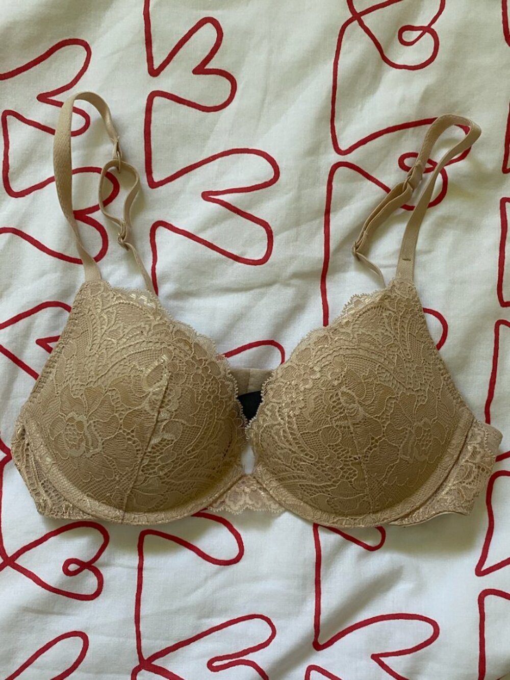 La Senza Obsession Lace Plunge Push-Up Bra